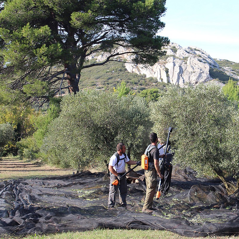 Huile noir d'olive bio CastelineS AOP - Moulin Castelas